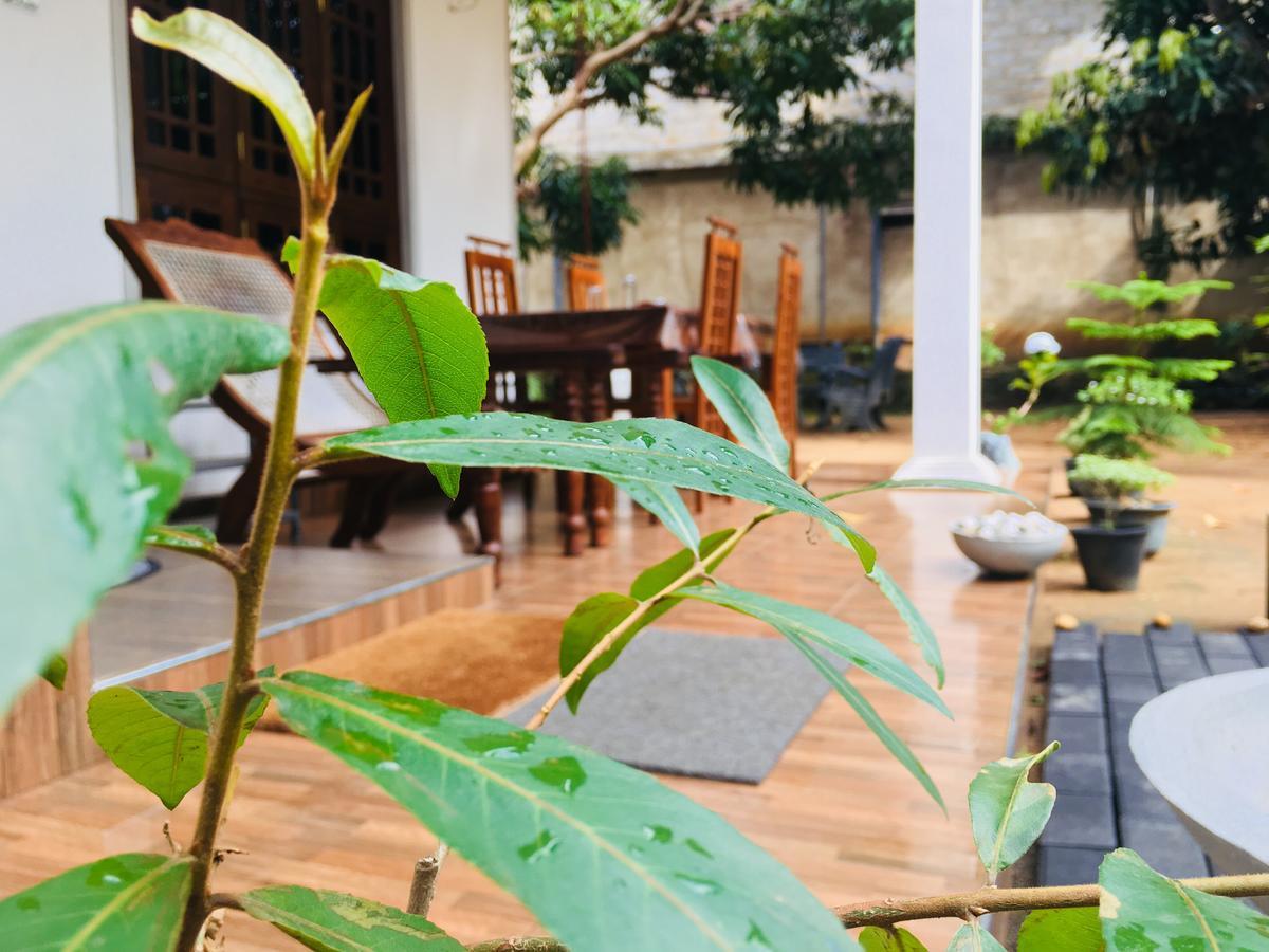 Perfect Hideout Hotel Dambulla Exterior photo